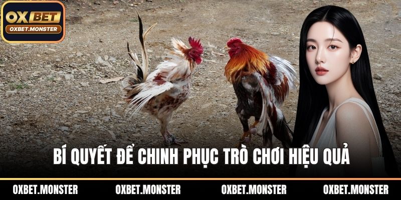Đá Gà Oxbet – Sân Chơi Thời Thượng Của Tín Đồ Đá Gà 2025 3 Bí quyết để chinh phục trò chơi hiệu quả