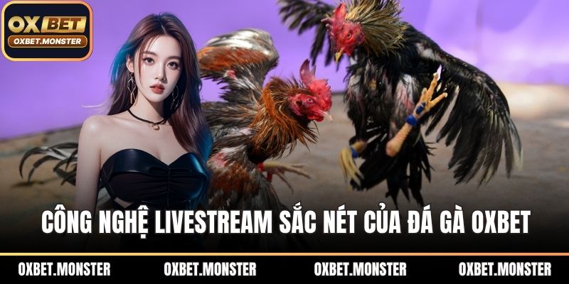 Đá Gà Oxbet – Sân Chơi Thời Thượng Của Tín Đồ Đá Gà 2025 1 Công nghệ livestream sắc nét của đá gà OXBET
