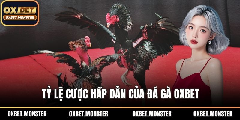 Đá Gà Oxbet – Sân Chơi Thời Thượng Của Tín Đồ Đá Gà 2025 2 Tỷ lệ cược hấp dẫn của đá gà OXBET